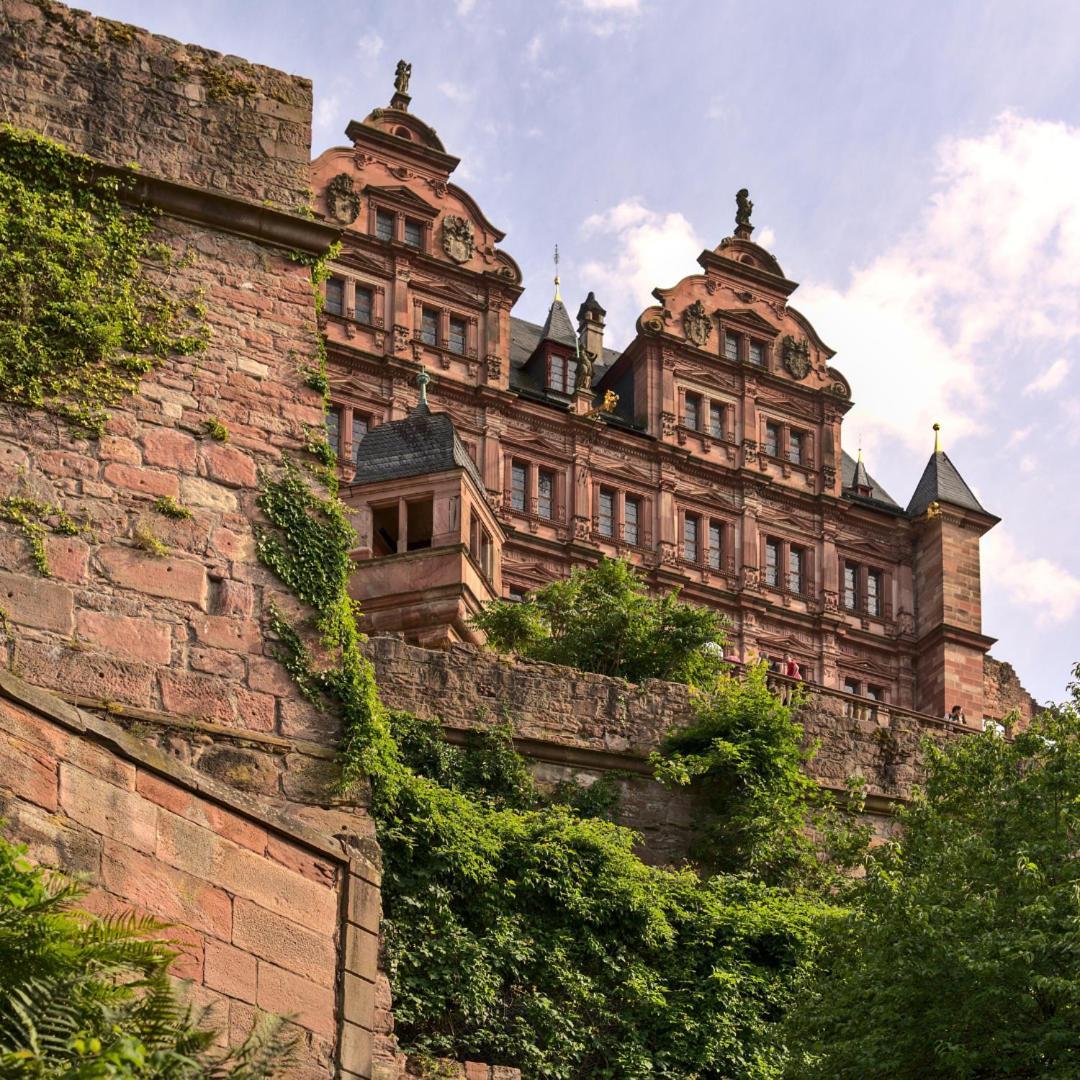 Odenwaldferien Zur Sattelkammer Schonbrunn  Экстерьер фото